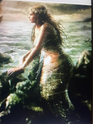cover image of Alivia's Travels